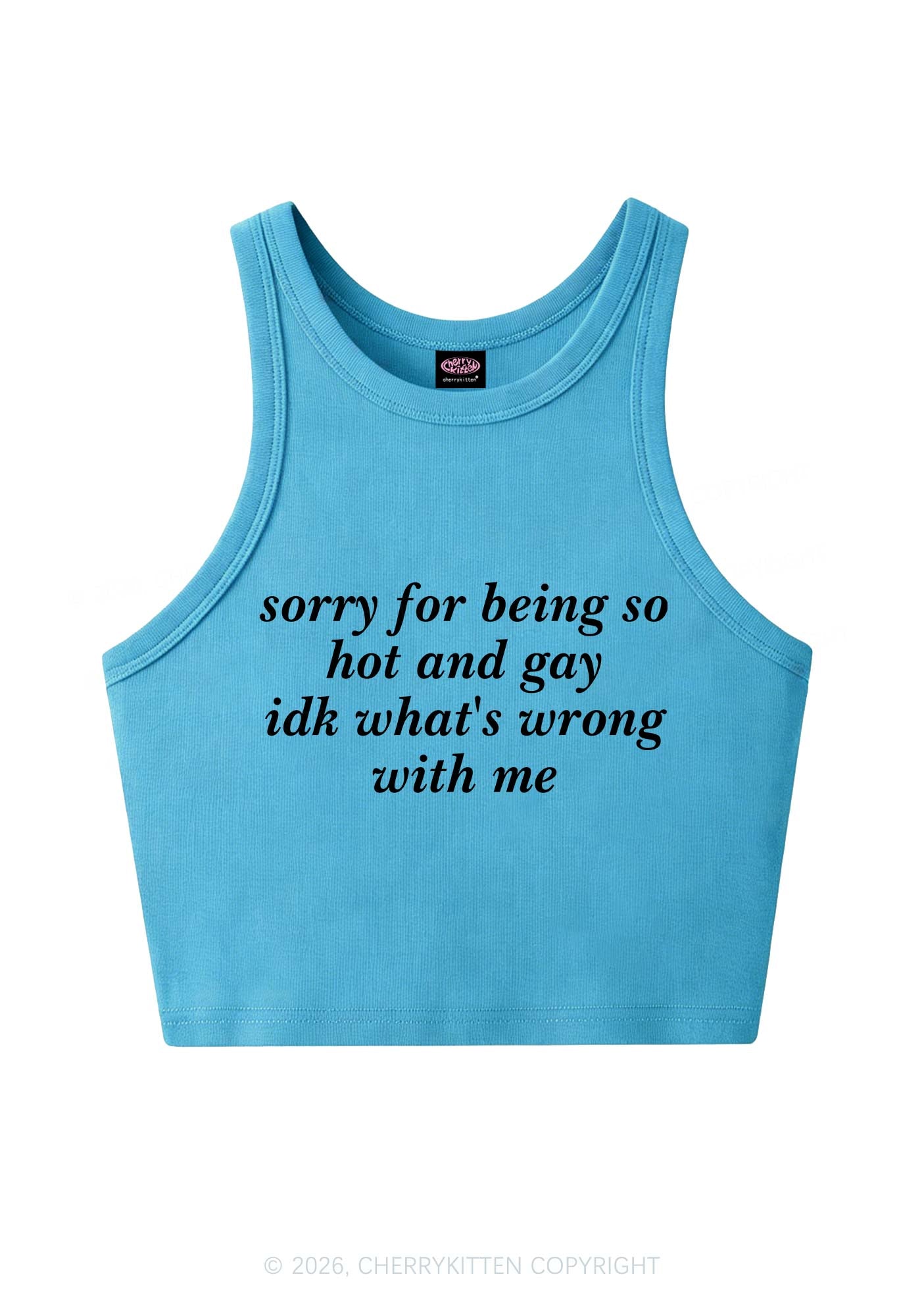 Sorry For Being Gay Pride Y2K Crop Tank Top Cherrykitten