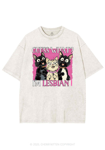 Im Lesbian Cat Pride Y2K Shirts Washed Tee Cherrykitten