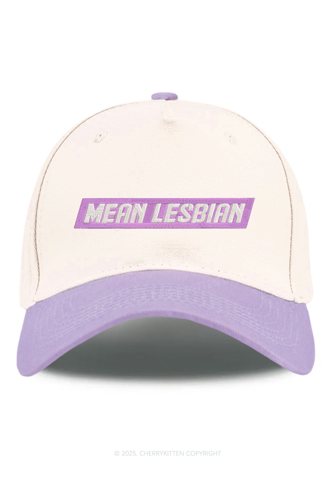 Embroidered Mean Lesbian Pride Y2K Color Block Baseball Cap Cherrykitten