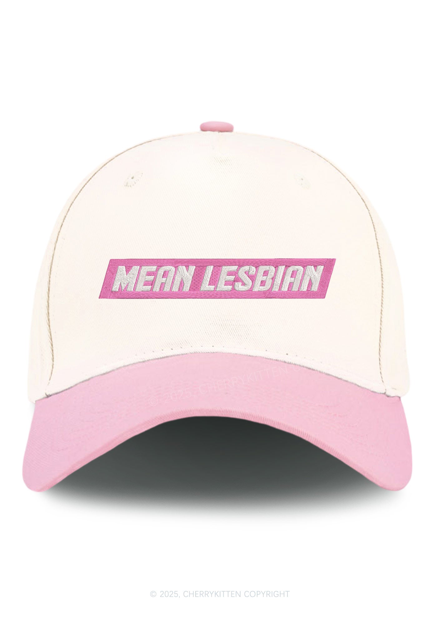 Embroidered Mean Lesbian Pride Y2K Color Block Baseball Cap Cherrykitten