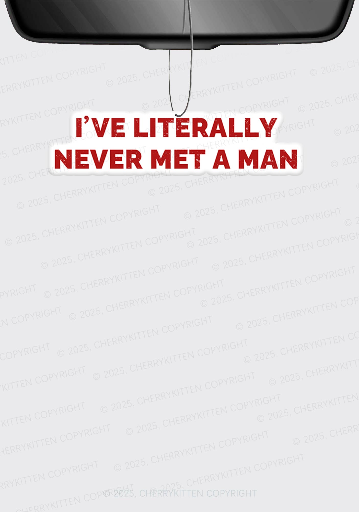 Never Met A Man Pride 1Pc Y2K Car Air Freshener Cherrykitten