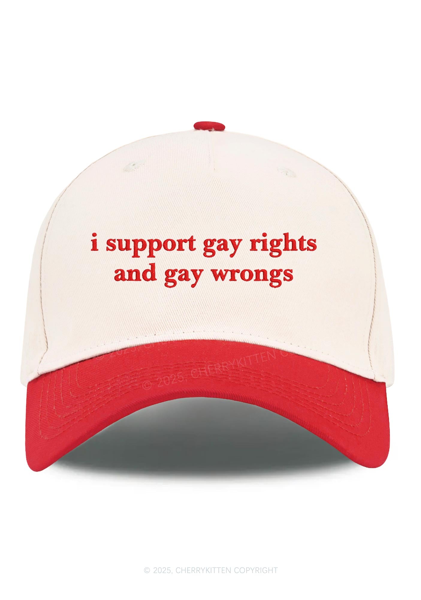 Embroidered Support Gay Rights Pride Y2K Color Block Baseball Cap Cherrykitten