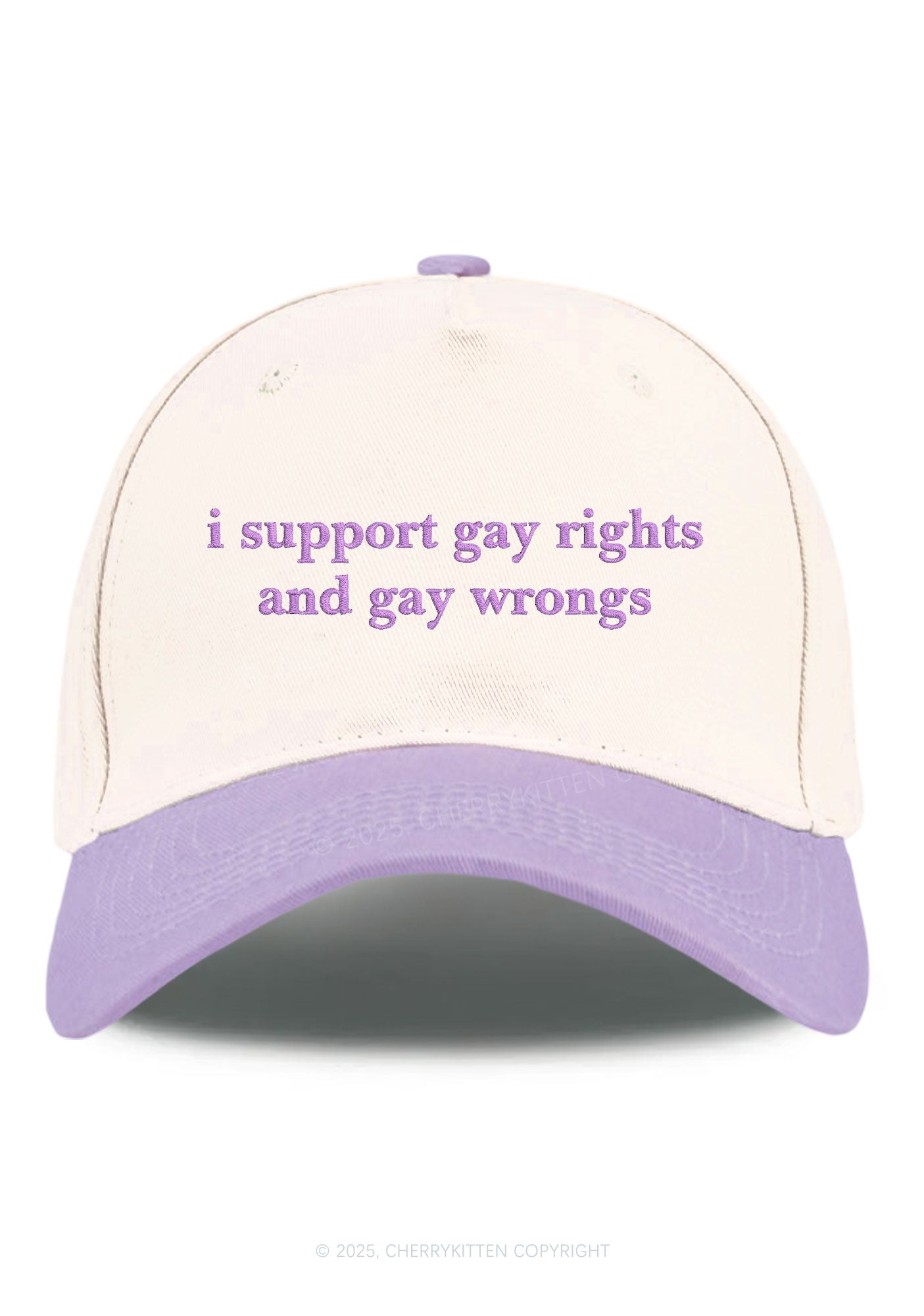 Embroidered Support Gay Rights Pride Y2K Color Block Baseball Cap Cherrykitten